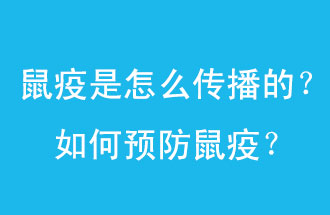 鼠疫是怎么傳播的？如何預(yù)防鼠疫？